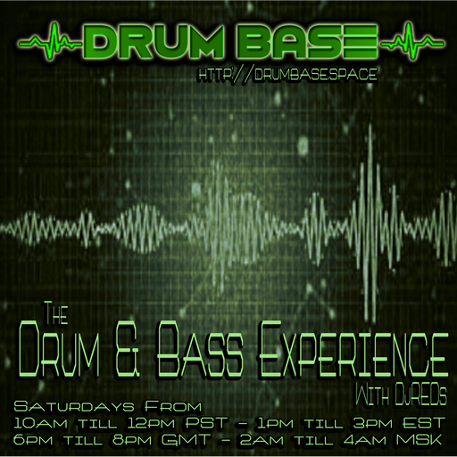 THE DNB EXPERIENCE 100318