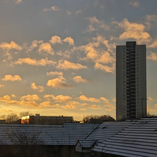 New-Tenderness w. Xenogothic - February 2024