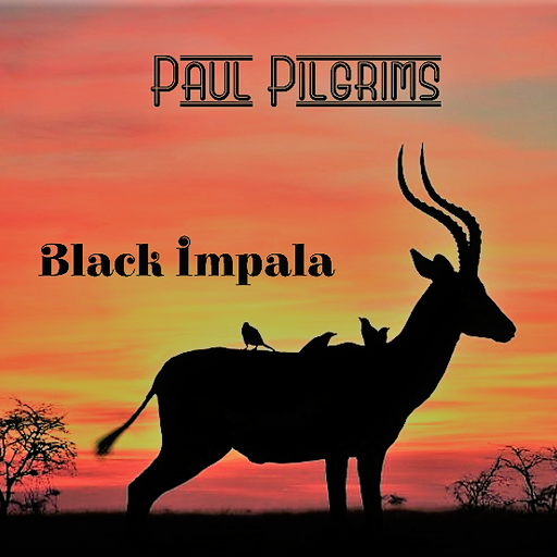 Black Impala - 25-5-2020 - Live in Forte dei Marmi