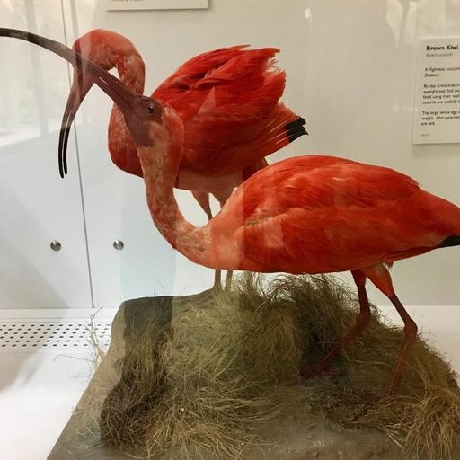 nondef song of the year 2023