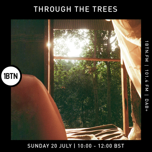 Through The Trees - 20.07.25