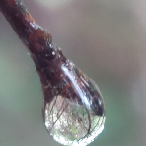 Thirsty Thursday dnb (08/02/24)