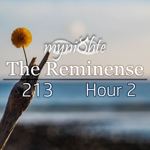 The Reminense 213 - Hour 2