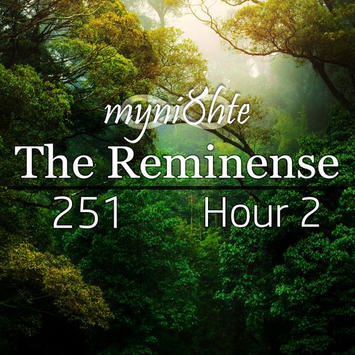The Reminense 251 - Hour 2
