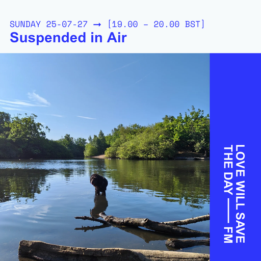 2025-07-27-Suspended in Air-Sean Carroll