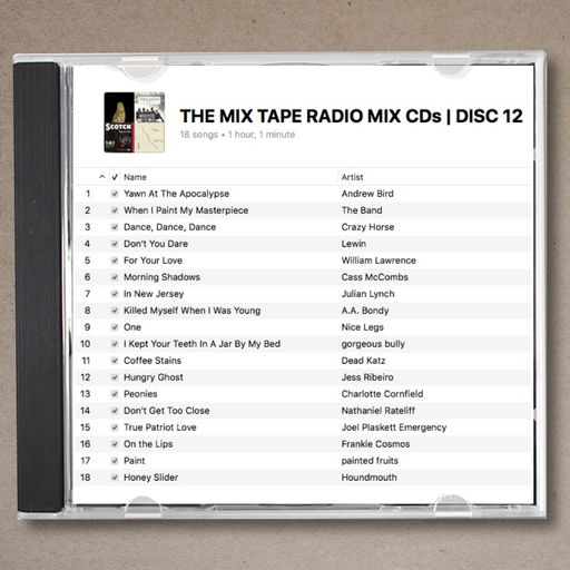 THE MIX TAPE RADIO MIX CDs | DISC 12