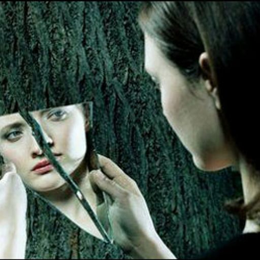 Solipsistic Nation No. 23: Schismatrix