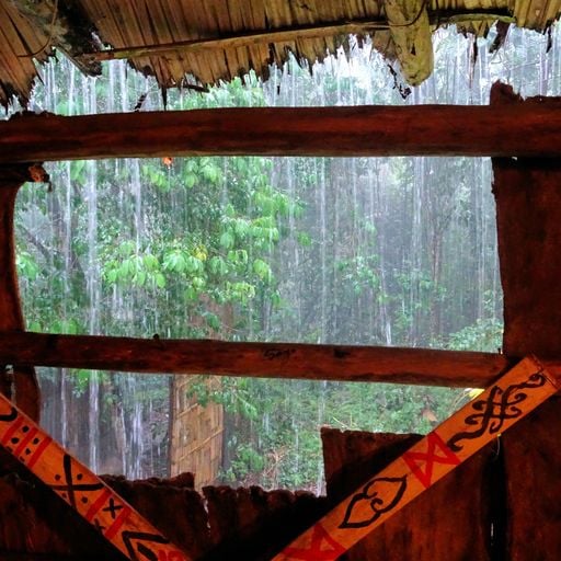 Rain