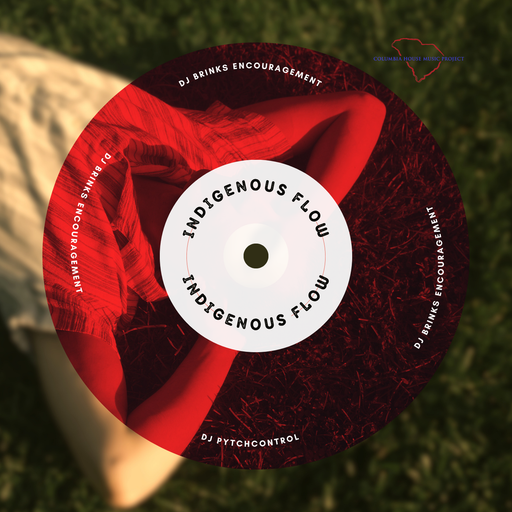 Indigenous Flow - DJ Brinks Encouragement - Pytch Control