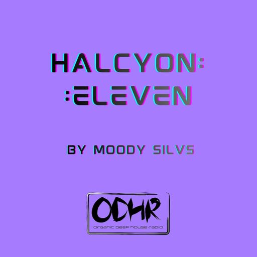 DJ Moody Silvs- Halcyon 11