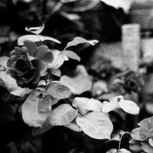 Sentiment w/ Slouchy - 27/01/23