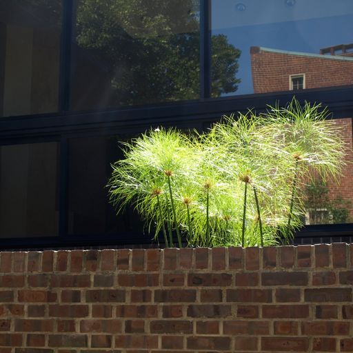 Even though I might (Eclectic Playlist Series 9.07)