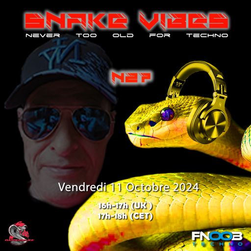 Darksnake Special Techno "Snake Vibes 27" Fnoob Techno Radio 11.10.2024