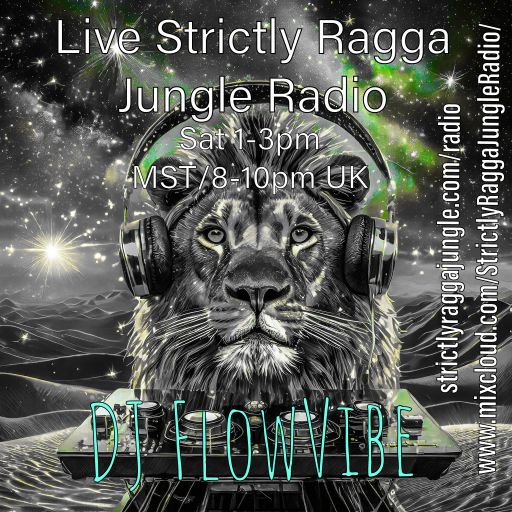 DJ FlowVibe - SRJ Radio Live - Apr13/2024