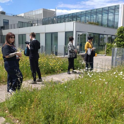 Sonic Shuggs: Sonic Cyberfeminisms Reflections - June 2024