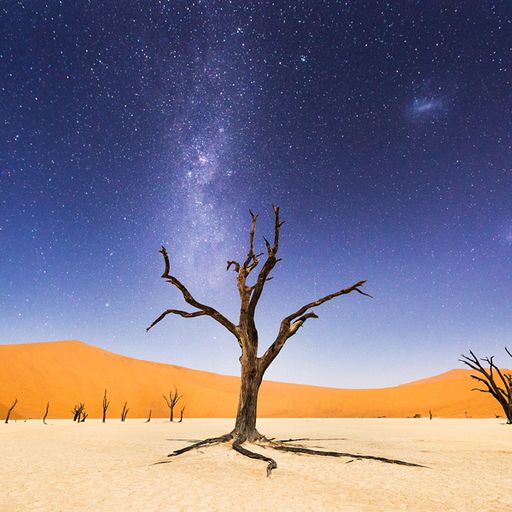 Seele der Nacht (DeepAmbient)