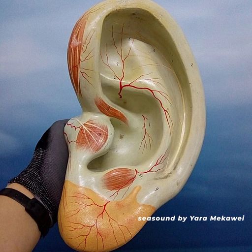 Cashmere Specials – Diasporic Listening to Berlin's Soundscape 25.11.2022