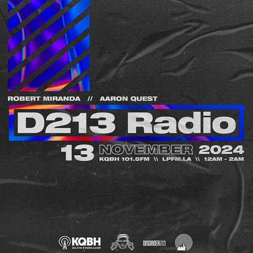 D213 RADIO 11/13/24 - Hour2 - Los Angeles - DJ Mix Show - Underground Electronic Sounds