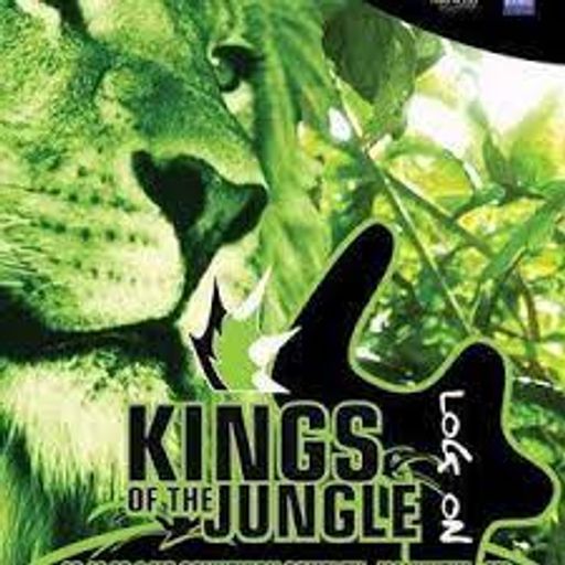 Andy C w/ Skibadee, Shabba & Fearless - Kings of the Jungle 3, MS Connexion, Mannheim - 30.4.03