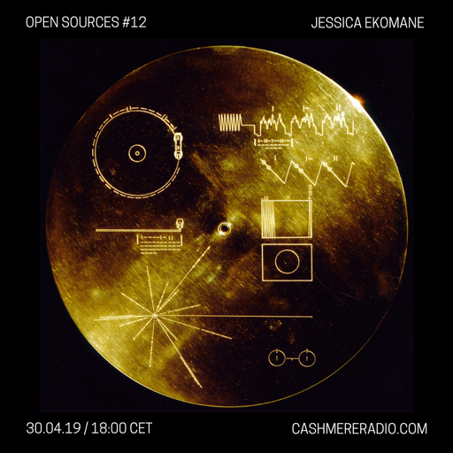 Open Sources #12: Space and the Voyager Golden Records 30.04.2019