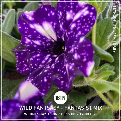 Wild Fantasy - Fantasist Mix - 16.06.2021