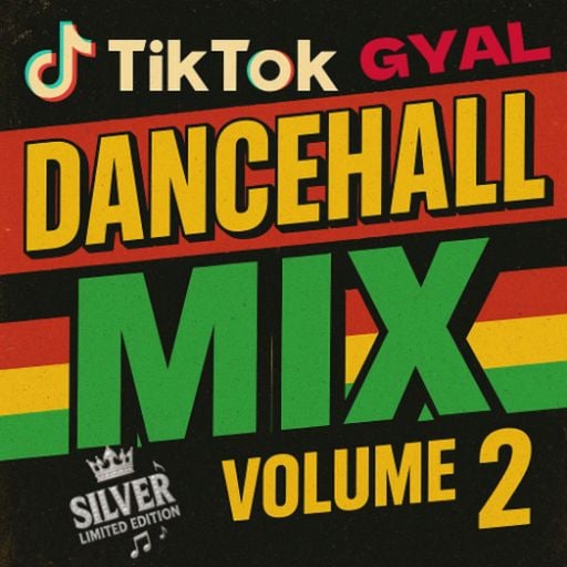 Dancehall Mix 2025, TikTok Gyal Vol 2 Ft IWaata, Spice, Yung Bredda, Vybz Kartel, Aidonia, Ayetian
