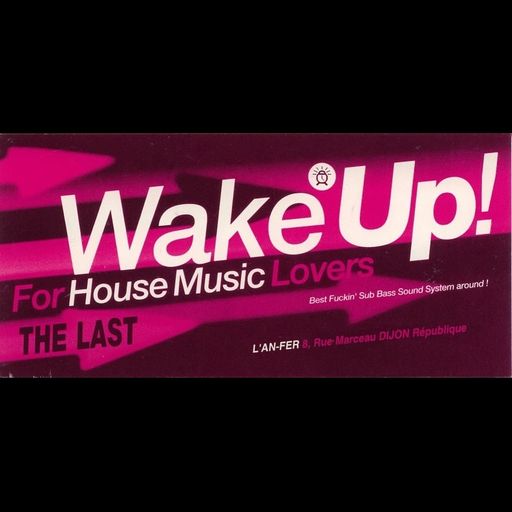 Laurent Garnier at "Wake Up!" @ L'An-Fer (Dijon - France) - 1 July 1994