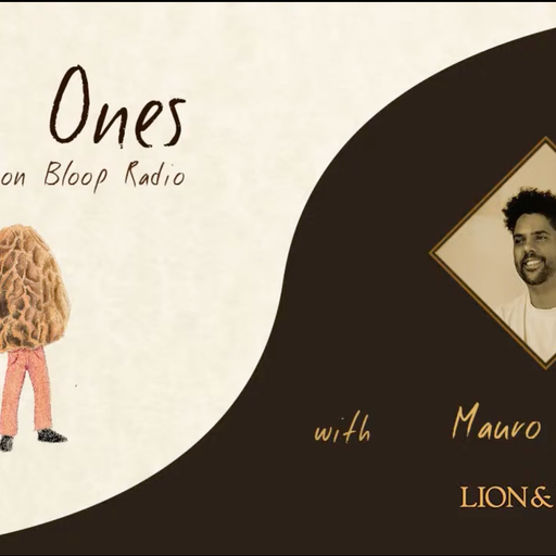 Plus Ones w/ Raoul Edwards & Mauro Ferno - 20.03.21