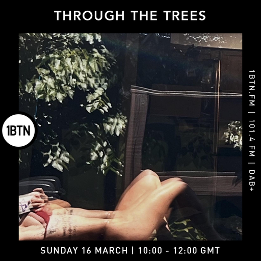 Through The Trees - 16.03.25