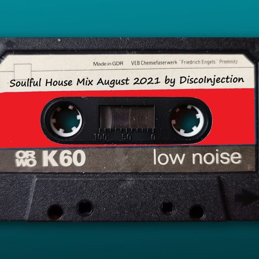 Soulful House Mix August 2021 by DiscoInjection