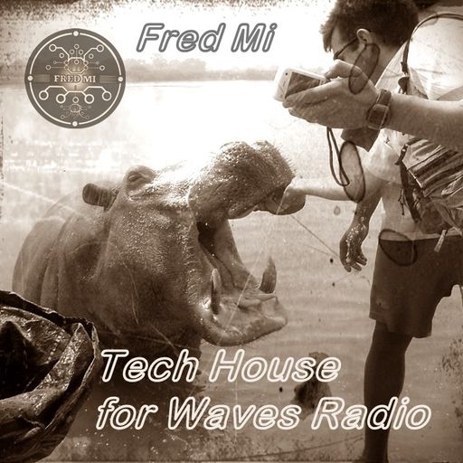 FRED Mi for WAVES Radio #2