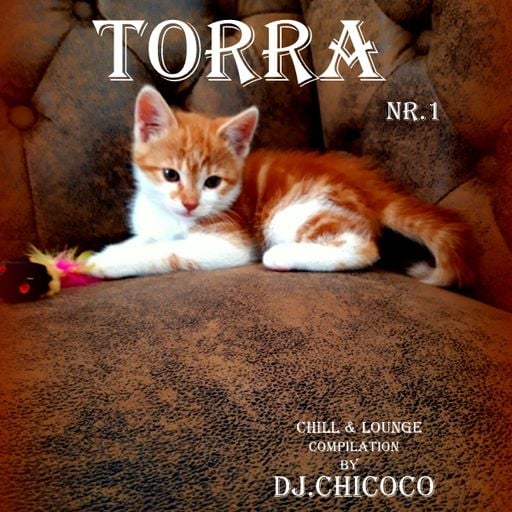 ``TORRA`` nr.1 Chill and Lounge Compilation