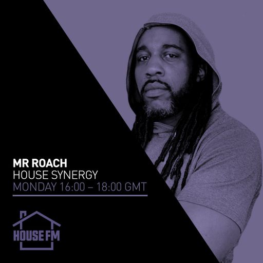Mr Roach - House Synergy 02 SEP 2024