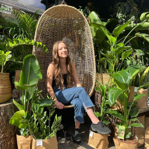 Artist Pick w/ AB Violet