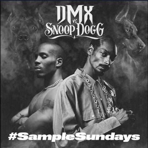 DJ Swavor - Sample Sundays v7: DMX vs Snoop Dogg Edition