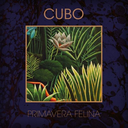 Cubo: Primavera Felina 2017