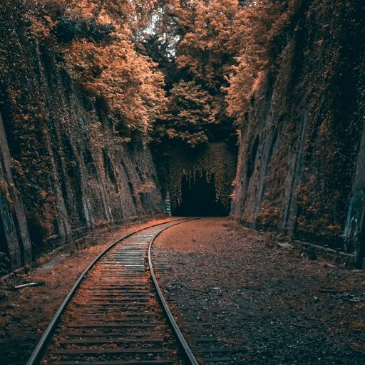 Mystical / Train — by Paul Asbury Seaman