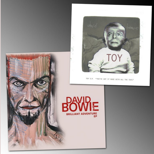 Bowie Brilliant Toy Adventure 2022
