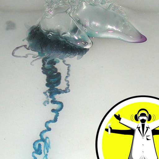 How Do Jellyfish Reproduce?