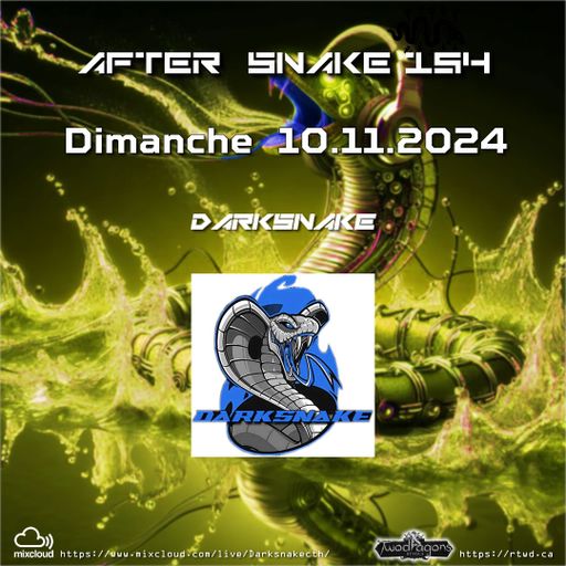 Darksnake Special Techno "After Snake 154" Radio TwoDragons 10.11.2024