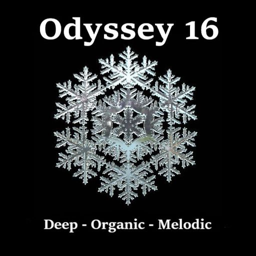 Odyssey 16 - Deep - Organic - Melodic