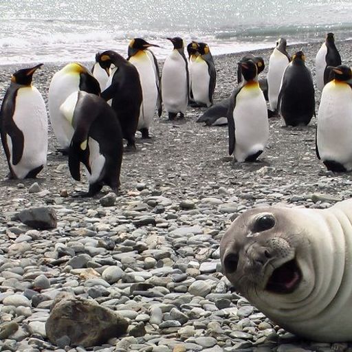 מורידים את הרף 20 - חזל"ש - ירון חכם יובל יוספסון - 7.10.18