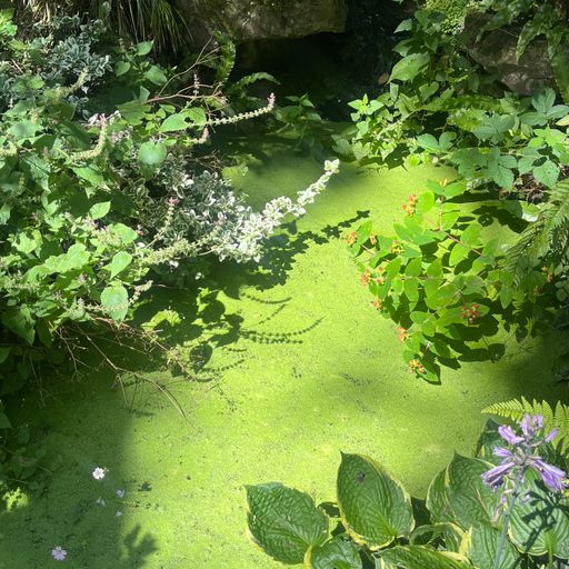 Early Morning Eggs Breakfast - 14/09/24 [Voices Radio]