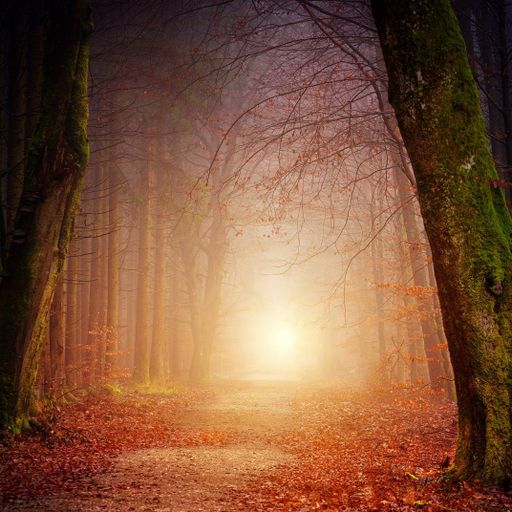 Autumn Trumpet - Paul Asbury Seaman