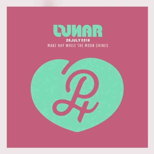 Lunar Festival Crow Bar 28 July 2018 Curated by Paul Hillery 2 of 2