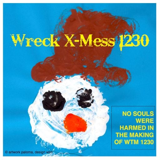 Wreck X-Mess 1230