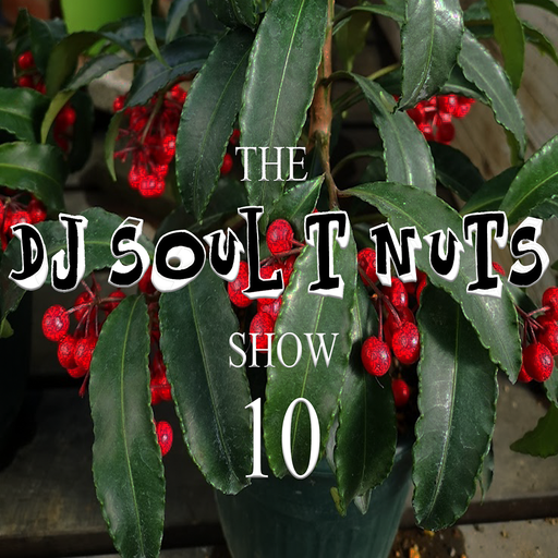 Old Skool House - The Soul T Nuts show - Episode 10