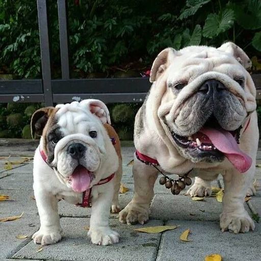 מורידים את הרף 25 - ירון חכם ויובל יוספסון - 13.11.18