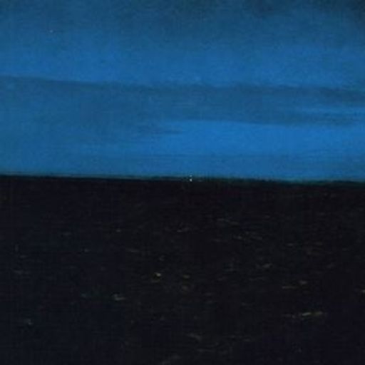 Sleeping Dogs Lie - 9 November 2025 (Brian Eno)