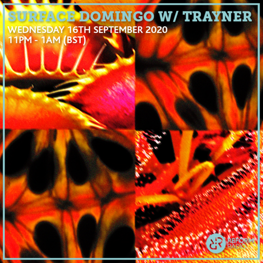 Surface Domingo w/ Trayner 16th September 2020